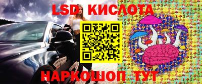дмт Будённовск