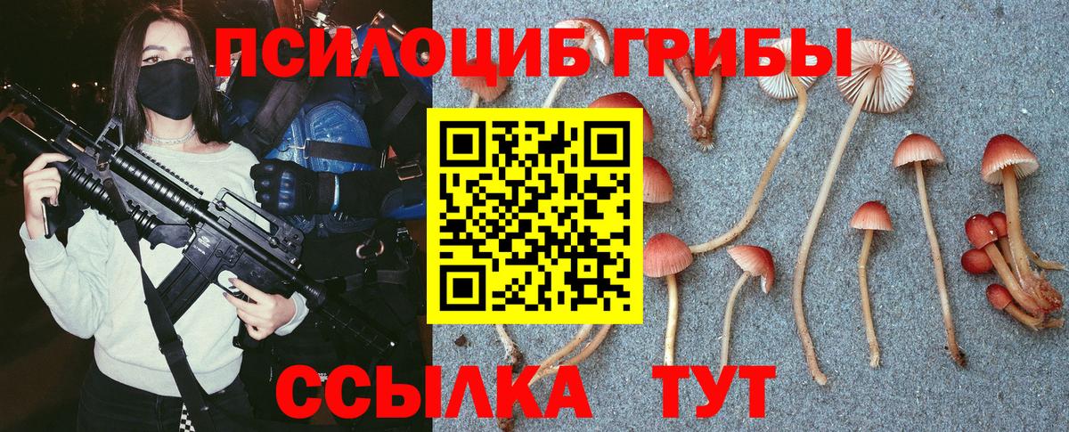 Псилоцибиновые грибы прущие грибы Иркутск