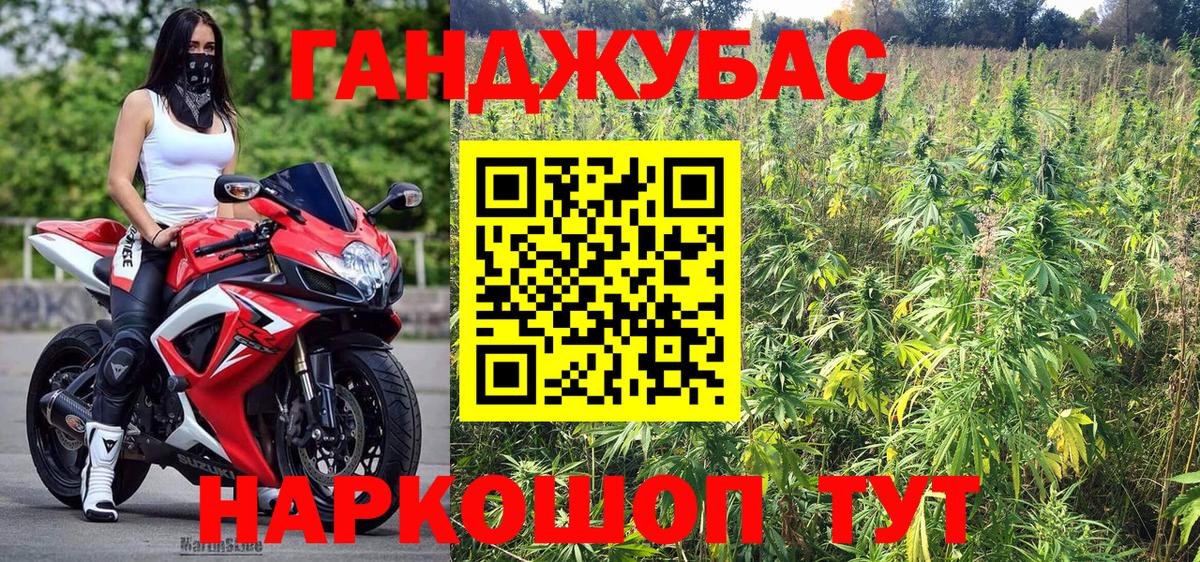 Канабис семена  Каннабис Amnesia  Канабис Amnesia  Вход с VPN  Иркутск  Бошки марихуана индика 